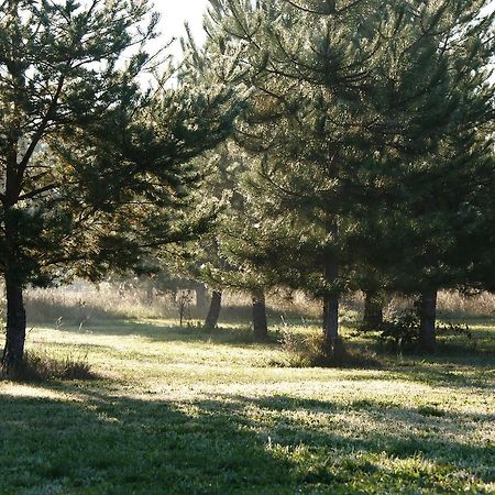 Saint-Léger Chateau De Grenier Bed & Breakfast エクステリア 写真
