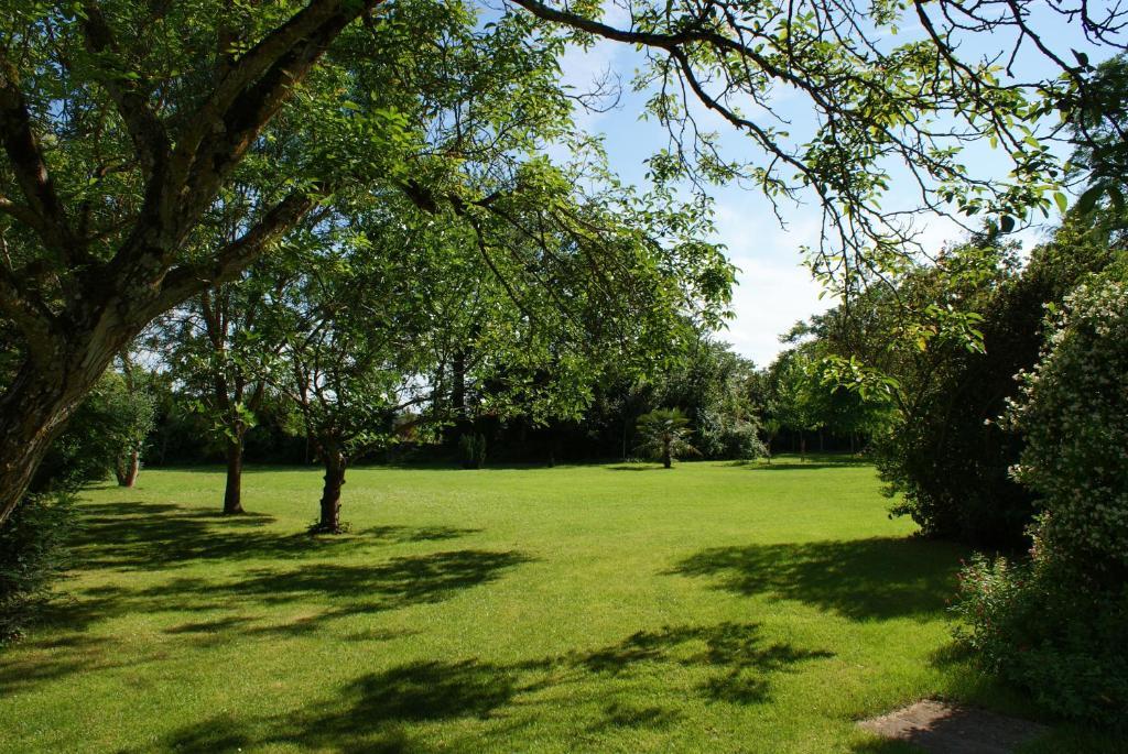 Saint-Léger Chateau De Grenier Bed & Breakfast エクステリア 写真