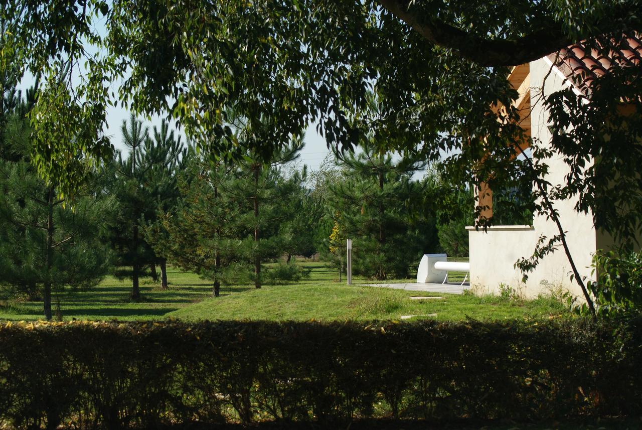 Saint-Léger Chateau De Grenier Bed & Breakfast エクステリア 写真